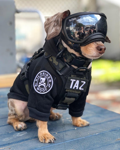 Tactical vest for small dogs hotsell