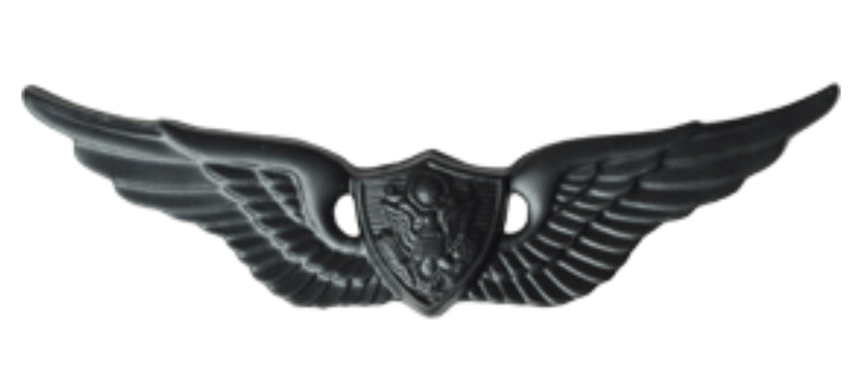 Aircraft Crewman Badge - Black – Green Beret