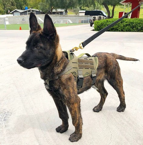 K9R - M4 Tactical MOLLE Vest – kiloninerpets