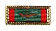 Vietnam Civil Action Unit RVN Ribbon w Frame & Branch Device